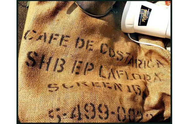 Faisseux de haricots verts