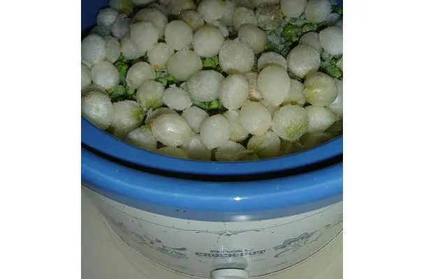 Flétan à la sauce au vin