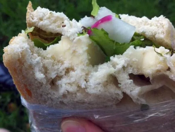 Sandwich aux herbes, au brie et aux radis