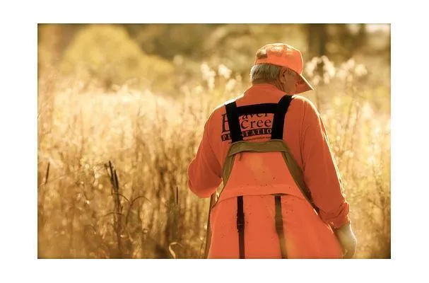 Caille de Plantation