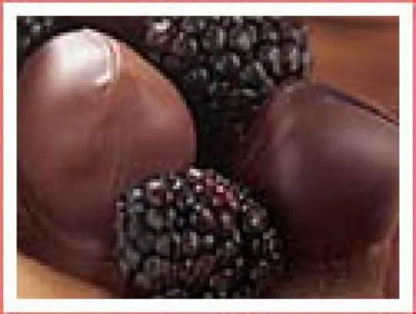 Xocai Chocolat noir enrobé de mûres